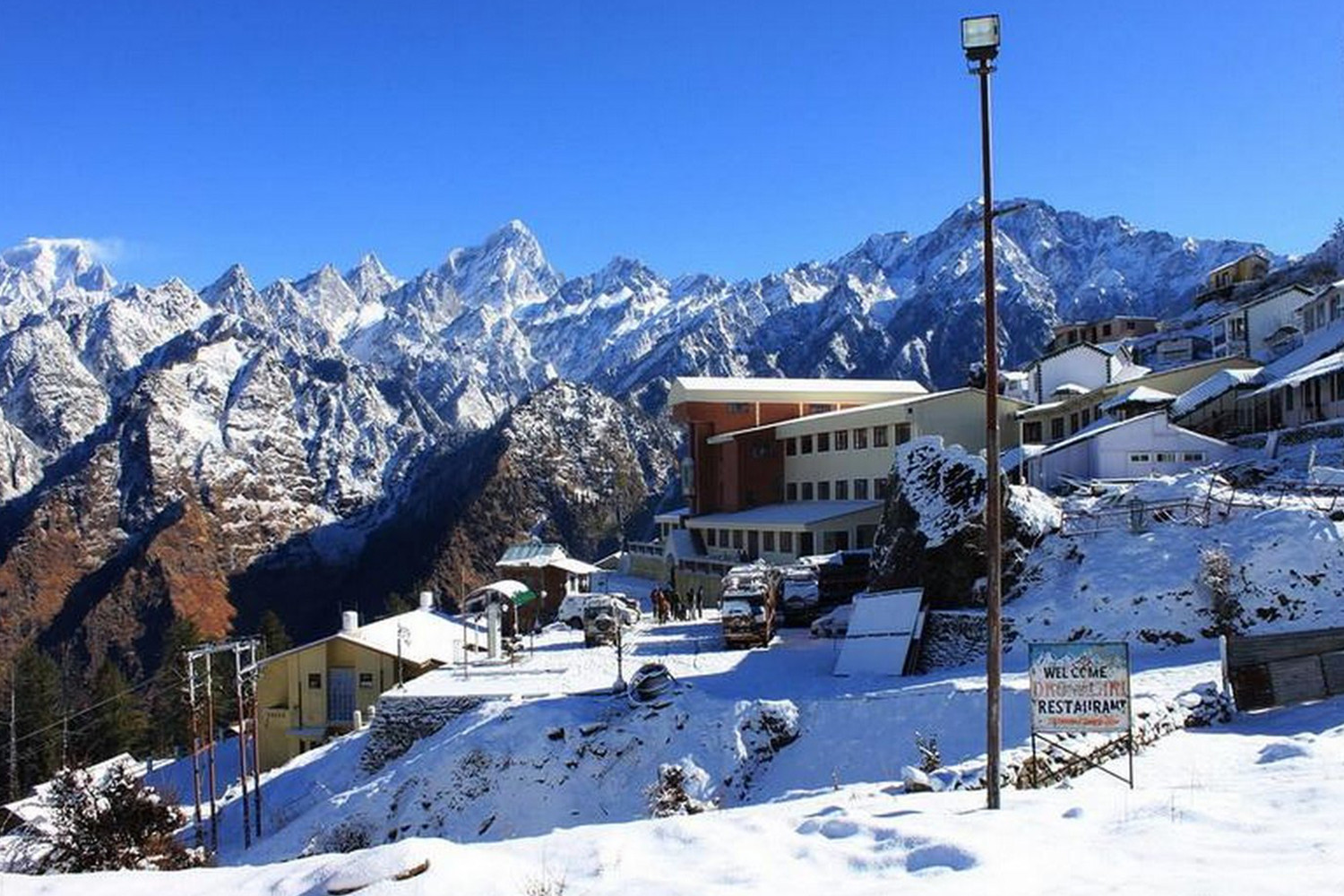 Auli